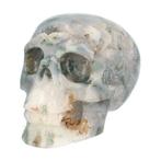 Mosagaat schedel 1482 gram, Nieuw, Verzenden