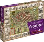 Groningen Cartografie Puzzel (1000 stukjes) | Tuckers Fun, Nieuw, Verzenden
