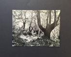 Werner Bischof (1916-1954) - Kastanienwald