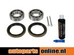 Wiellager set Volvo 66 achterzijde, links of rechts, Auto-onderdelen, Verzenden, Nieuw, Volvo