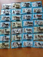 Starlux Glorieux Cavaliers - Speelgoedsoldaatje 28x Glorieux, Nieuw