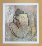 Pablo Picasso (1881-1973) - (after) - Nu De Dos - Artprint -