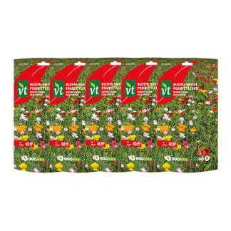 Bloemzaden duizend lichtjes | VT | 5 stuks, Tuin en Terras, Bloembollen en Zaden, Verzenden