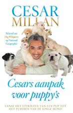 Cesars aanpak voor puppys 9789048820924 Melissa Jo Peltier, Boeken, Verzenden, Gelezen, Melissa Jo Peltier