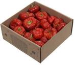 Mini pompoentjes ca. 250 gram, Ophalen of Verzenden, Nieuw