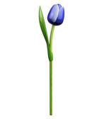 Houten tulp op steel 34 cm Blue white, Kleding | Heren, Ophalen of Verzenden, Nieuw