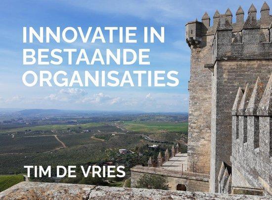 9789402148268 Innovatie in bestaande organisaties, Boeken, Economie, Management en Marketing, Nieuw, Verzenden