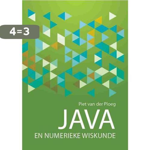 Java en Numerieke Wiskunde 9789082172959 Piet van der Ploeg, Boeken, Wetenschap, Zo goed als nieuw, Verzenden