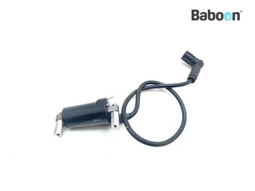 Bobine Ducati 750 SS 1991-1998 (750SS), Motoren, Onderdelen | Ducati, Gebruikt, Verzenden