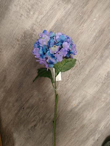 Hortensia Zijdebloem Blauw Hortensia Zijde beschikbaar voor biedingen