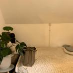 kamer in Renkum gevonden voor €485,- pm, 20 tot 35 m², Overige regio's