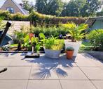 Design Square Kijlstra Betonnen tegel 60x60 - Laagste Prijs!