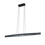 Fischer & Honsel - Hangende plafondlamp - Fenga Hanger -, Antiek en Kunst, Antiek | Lampen