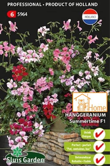 Geranium Ivy-leaved Summertime F1 Zaden, Hanggeranium beschikbaar voor biedingen