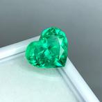Groen Smaragd - 4.26 ct - Guild Gem Laboratory - Minor Oil, Nieuw