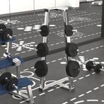 vidaXL Halterschijven 6 st 30 kg gietijzer, Verzenden, Nieuw
