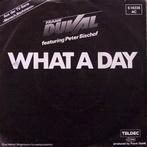 Frank Duval Featuring Peter Bischof - What A Day, Ophalen of Verzenden, Gebruikt