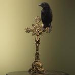 Kraai op Kruis Taxidermie Opgezette Dieren By Max, Ophalen of Verzenden, Nieuw, Vogel, Opgezet dier