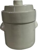 Startpakket fermenteren 2 liter (Creme-Modern), Verzenden, Nieuw