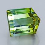 1 pcs Geel, Groen, Tweekleurig Toermalijn - 13.46 ct -, Sieraden, Tassen en Uiterlijk, Nieuw