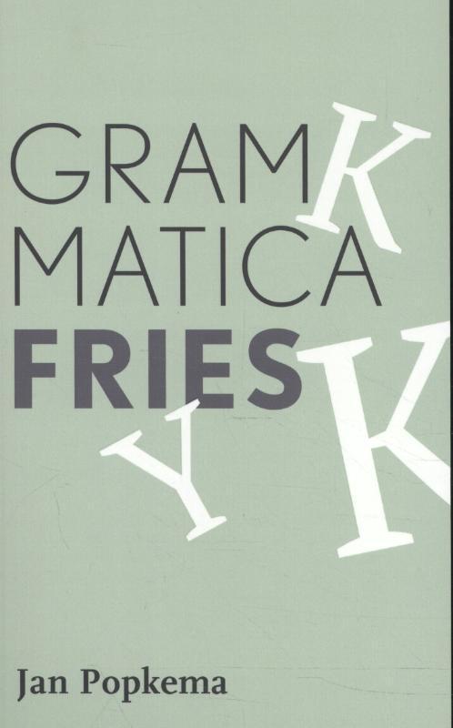 Grammatica Fries 9789492176820, Boeken, Schoolboeken, Zo goed als nieuw, Verzenden