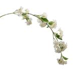AppelBloesemtak BLOSSOM SPRAY IVORY bloemtak, Huis en Inrichting, Woonaccessoires | Kunstplanten en Kunstbloemen, Ophalen of Verzenden