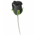 Actie bulk roos black, zwart voor corsage en boeket op dr, Ophalen of Verzenden, Nieuw
