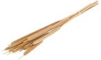 Typha sigaren rietsigaar Naturel ca. 10 stuks per bundel, Ophalen of Verzenden, Nieuw