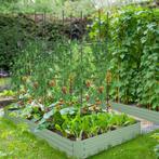 TRUUSK Klimhulp 3-delige Set Plantenhouders Voor Tuinplanten, Tuin en Terras, Bloembakken en Plantenbakken, Verzenden, Nieuw