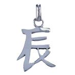 Zilveren Chinese horoscoop Draak - Enthousiast ketting ha..., Sieraden, Tassen en Uiterlijk, Verzenden, Nieuw