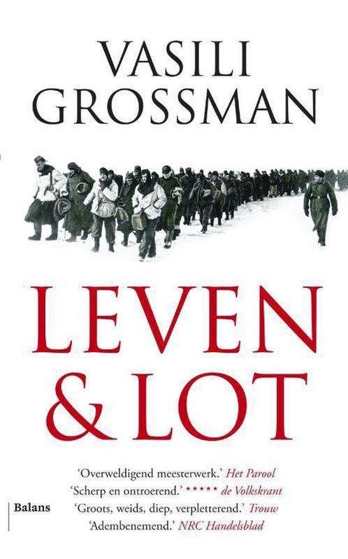 Leven & lot 9789460034978 Vasili Grossman, Boeken, Romans, Gelezen, Verzenden