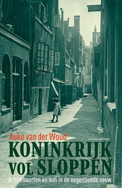 Koninkrijk vol sloppen | 9789035135970 | Auke van der Woud, Boeken, Wetenschap, Zo goed als nieuw
