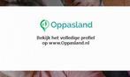Ik ben Melissa, 25 jaar oud en ik zoek oppaswerk in Dedem...