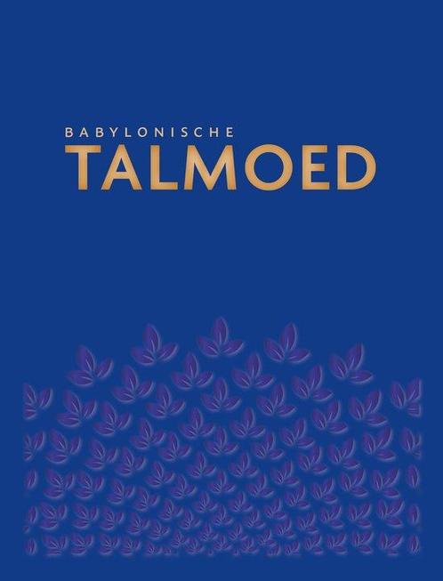 9789493220225 Babylonische Talmoed Sanhedrien 3/4/5/6, Boeken, Schoolboeken, Nieuw, Verzenden