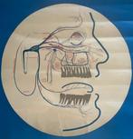 Anonymous - Original Poster VEB Leipzig Arzneimittelwerk,