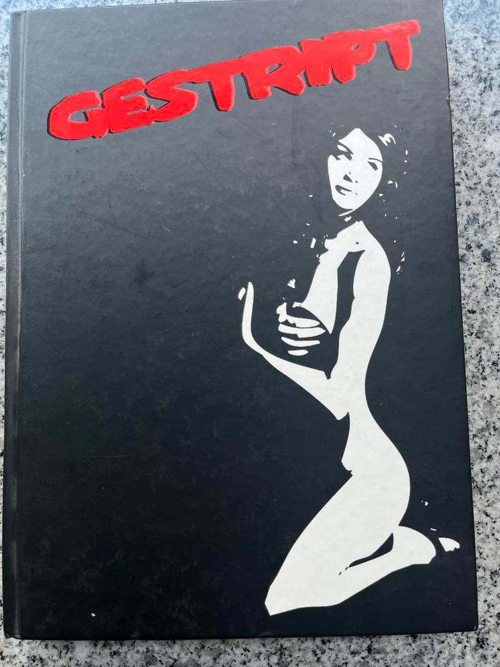 Gestript 16de Almanak der G.C.H.C 2008 – 2009 (Groningen), Boeken, Geschiedenis | Stad en Regio, Nieuw, 20e eeuw of later, Verzenden