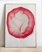 Artur Polar - Idol Nº47 - XL