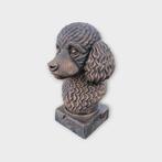 Bust of a Toy poodle statue - home decor dog lover gift him, Verzamelen, Verzenden, Nieuw