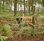 Anti wilde varkens schrikdraad net, 50 mtr, Zakelijke goederen, Agrarisch | Onderdelen | Banden, Velgen en Assen, Ophalen of Verzenden