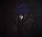 cd digi - Lunar Spells - Medieval Shadows From An Ancient..., Cd's en Dvd's, Cd's | Rock, Zo goed als nieuw, Verzenden