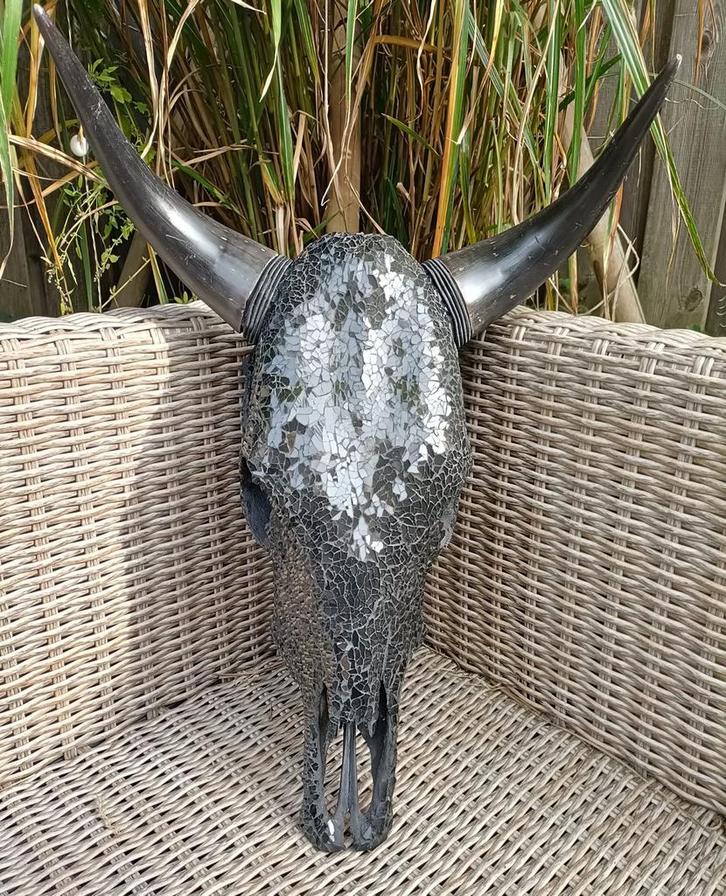 Buffel schedel ingelegd in glas--een sieraad in huis, Huis en Inrichting, Woonaccessoires | Overige, Verzenden