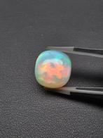 Zonder minimumprijs Wit, Meerkleurig Opaal - 13.87 ct -, Nieuw