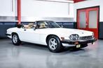 Jaguar - XJS Convertible 5,3L V12 - 60650 mi - NO RESERVE -, Auto's