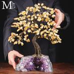 Citrien edelsteen Boom des Levens op natuurlijke amethist