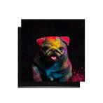 Funky Pup - Inductie Beschermer - 59x52 cm, Huis en Inrichting, Verzenden, Nieuw