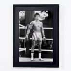 Rocky IV (1976) - Sylvester Stallone as  Rocky Balboa -, Nieuw