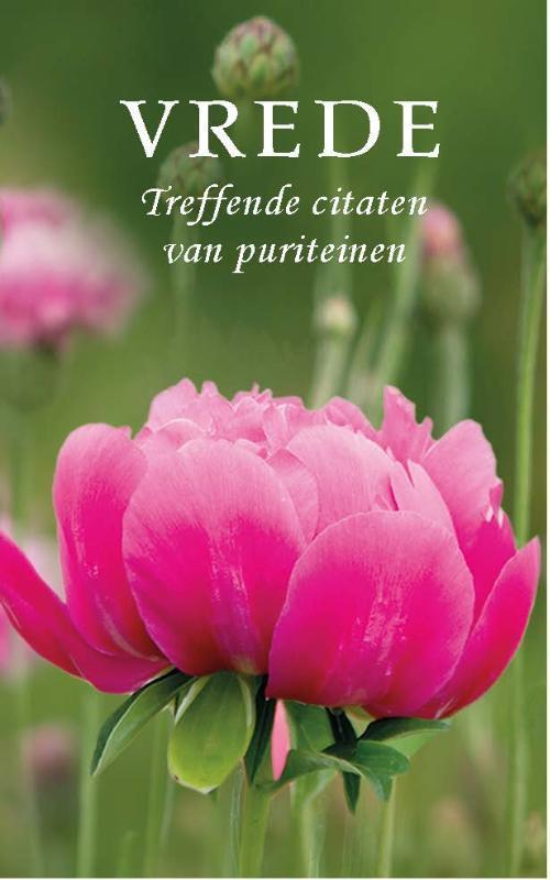 Vrede 9789462788886, Boeken, Godsdienst en Theologie, Zo goed als nieuw, Verzenden