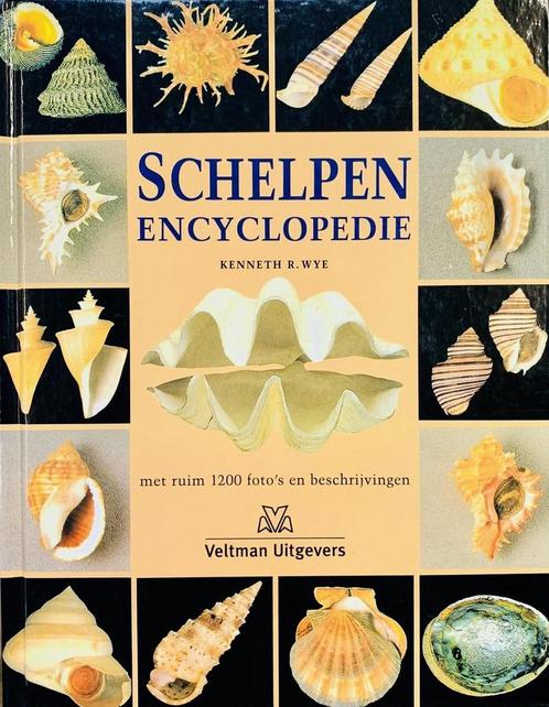 Schelpen encyclopedie 9789059200494 K.R. Wye, Boeken, Hobby en Vrije tijd, Zo goed als nieuw, Verzenden