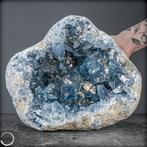Natuurlijke Celestiet Geode Van de hoogste kwaliteit 13,7, Verzamelen, Mineralen en Fossielen