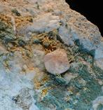 Fluoriet Rosa & Epidoto Beura quarry Kristallen op matrix -, Verzamelen, Mineralen en Fossielen